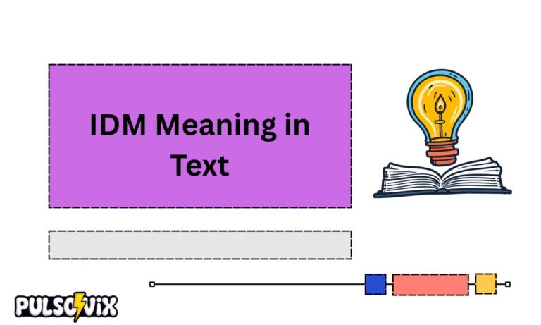 IDM Meaning in Text