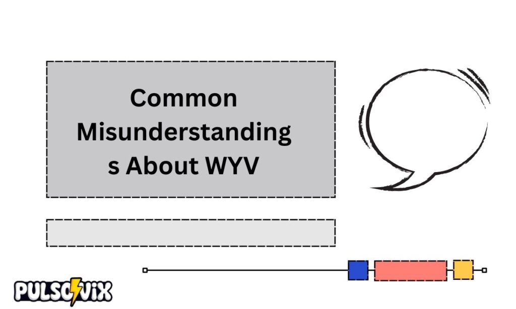 Common Misunderstandings About WYV