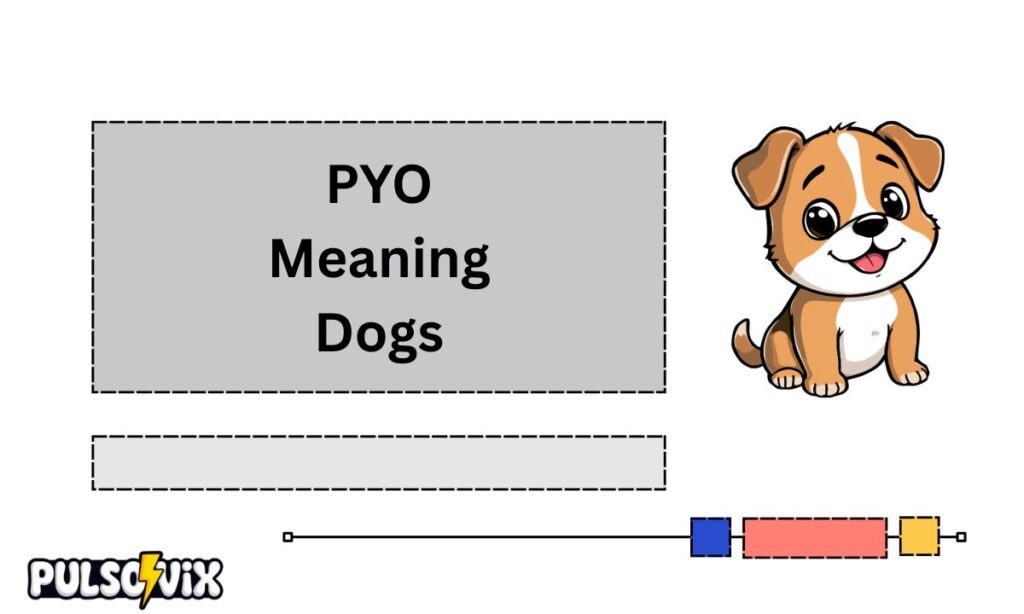 What Is PYO Mean in Text?