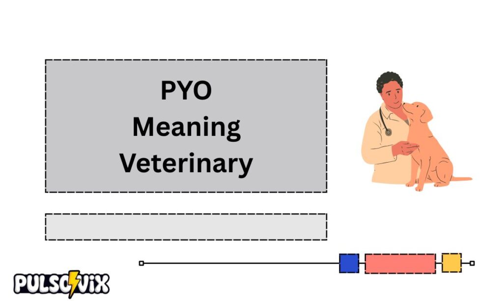 PYO Meaning Veterinary