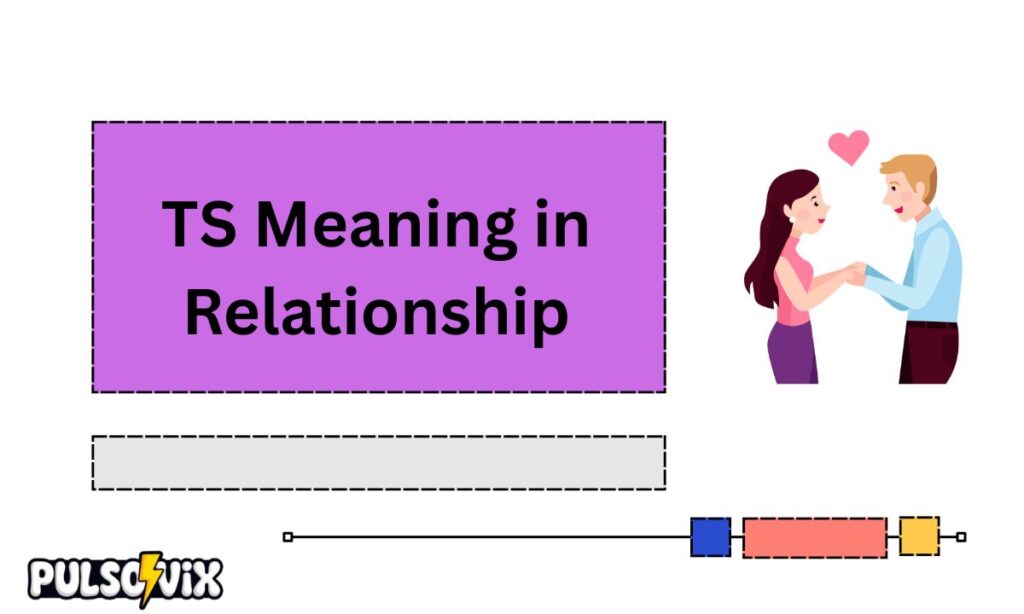 TS Meaning in Text